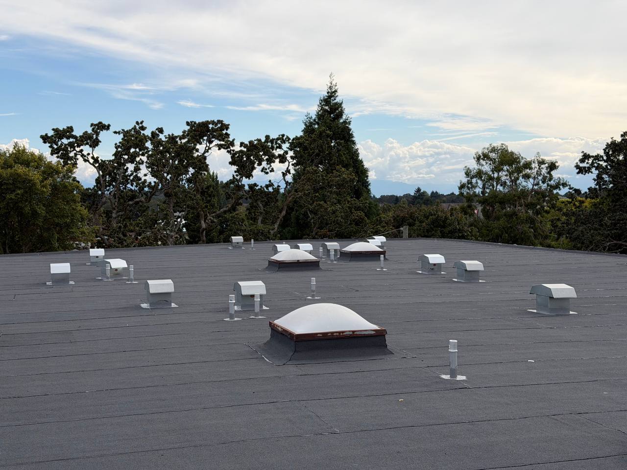 Wide view of the finished roof with skylights